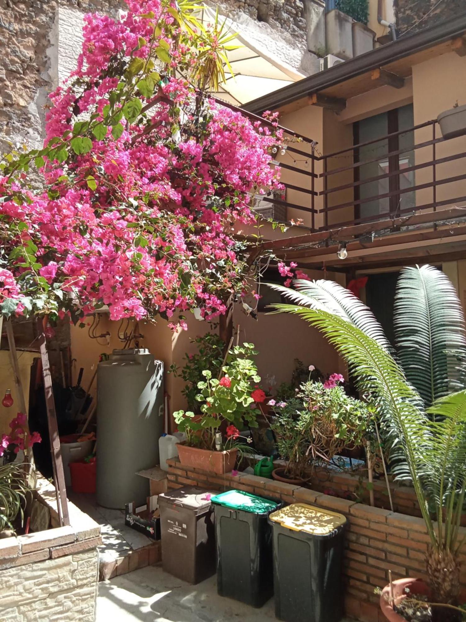 Mizzicahome Solemare คาตาเนีย ภายนอก รูปภาพ